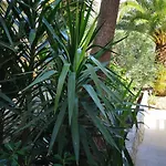 Apartments Antoana