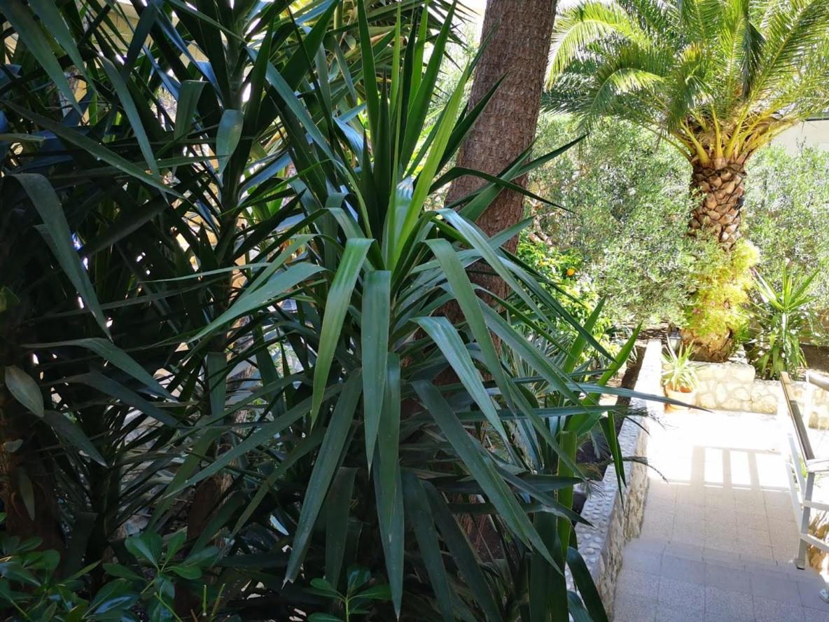 Apartmán Antoana Hvar Town