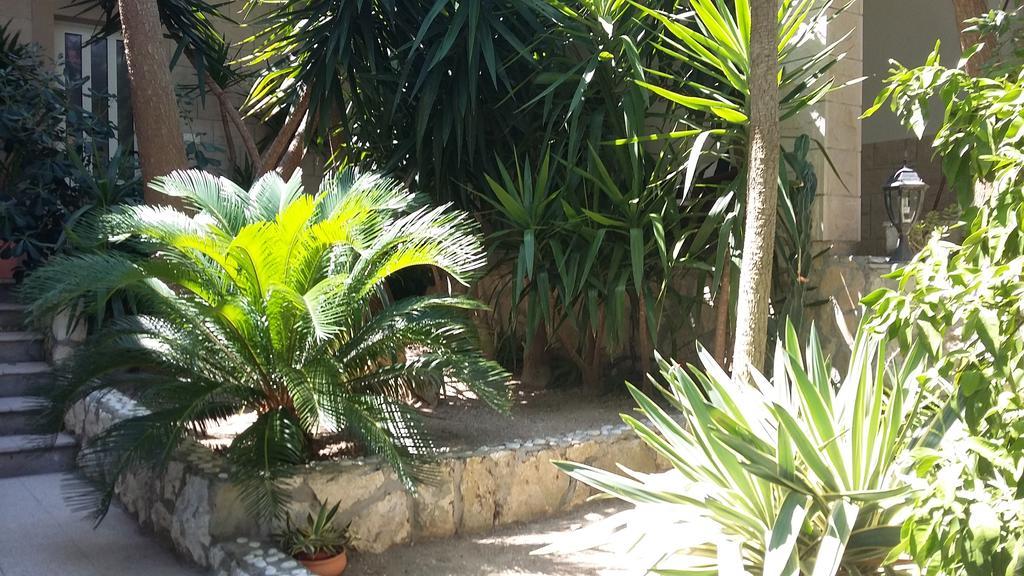 Antoana Hvar Town